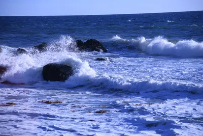 DSC_0550 (Large).JPG